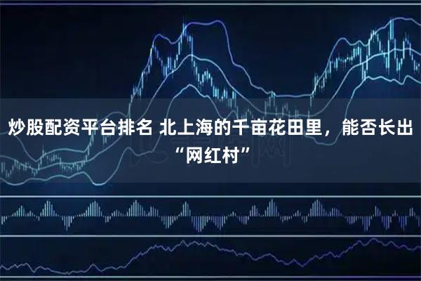 炒股配资平台排名 北上海的千亩花田里，能否长出“网红村”