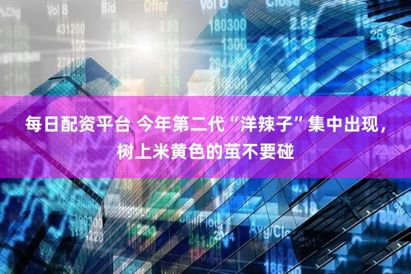 每日配资平台 今年第二代“洋辣子”集中出现，树上米黄色的茧不要碰